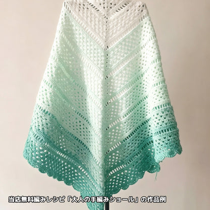 【シルケット加工・綿100%】Joyful Cake Yarn（ジョイフルケーキヤーン）｜ロングピッチ段染め・韓国風｜夏用ウェア・ショール・ブランケットに最適｜全37色｜電子版 ショール編みレシピ プレゼント！